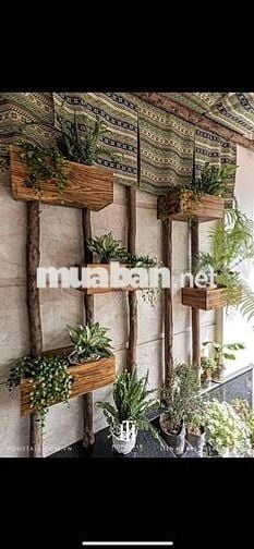cho thuê spa kinh doanh thiết kế nổi bật