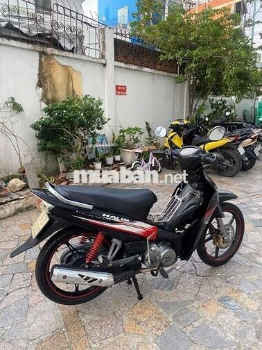 Xe yamaha sirut 50cc Hàn Quốc