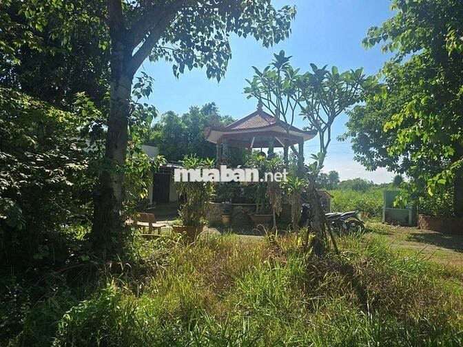 120mX25m đất phù hợp Người Phật Tử ở