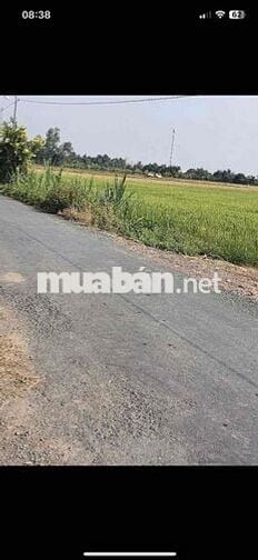 giá : 570tr/ 1000m2 đất lúa  , xã bình an - thủ thừa - long an