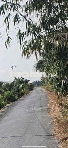 giá : 570tr/ 1000m2 đất lúa  , xã bình an - thủ thừa - long an