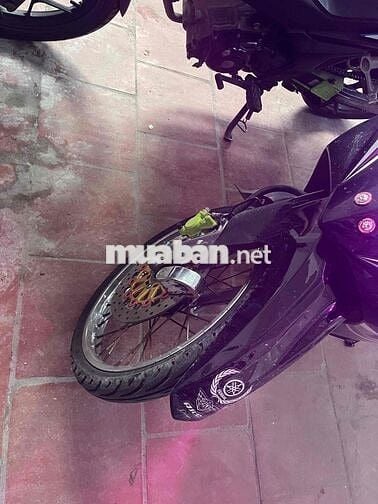 Có con suriut cuối 2021 độ full siêu đẹp