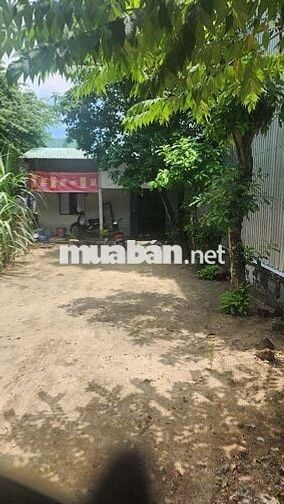 Nhà La Bông Hoà Tiến Kiệt Thông 4m