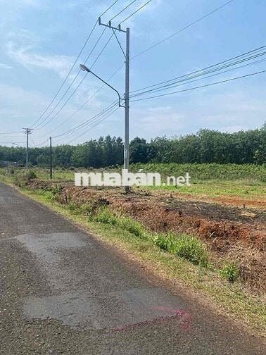 Đất mặt tiền đường nhựa rộng 18m cạnh các tiện ích giá rẻ