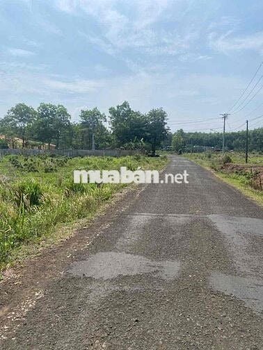 Đất mặt tiền đường nhựa rộng 18m cạnh các tiện ích giá rẻ