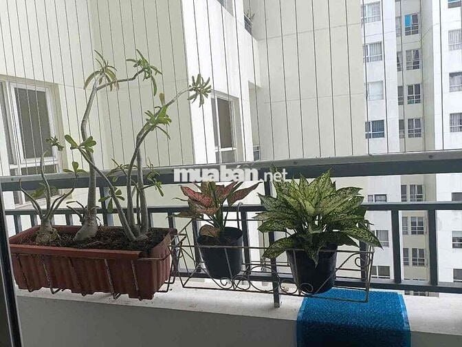 CHỦ CẦN CHO THUÊ CĂN LỚN Ở 81M 3PN 2WC NHÀ FULL NT GIÁ 10TR5 BAO PQL