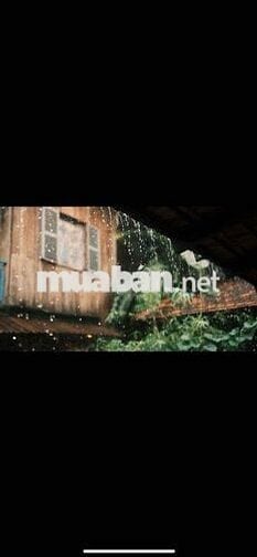 🌿 SANG NHƯỢNG – CAFE & QUÁN ĂN PHONG CÁCH XƯA 🌿 📍 Nguyễn Đình Chinh –