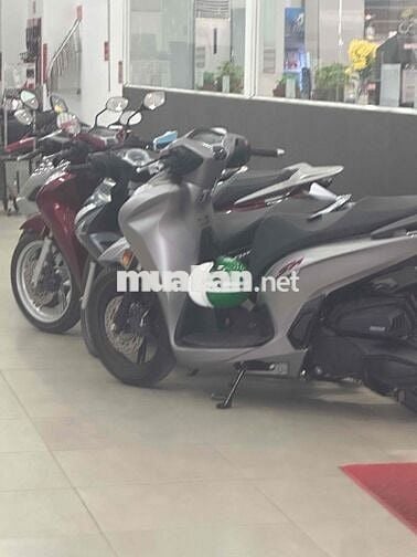 sh 350i máy thái
