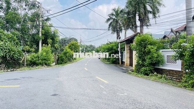 Bán đất khu dân cư Phước Hải - BRVT đường nhựa tim vàng- tiện ích