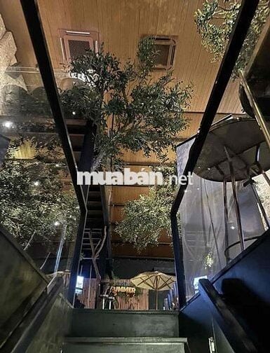 💎💎CHO THUÊ MBKD NGANG 8M - NGAY PHỐ ĐI BỘ NGUYỄN HUỆ, BẾN NGHÉ, QUẬN 1