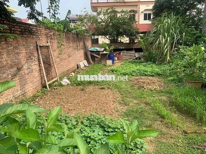 Bán đất – (Xã Minh Trí, Sóc Sơn )– 206m² – 2Tỷ – 3 Bước Ra Trục Liên