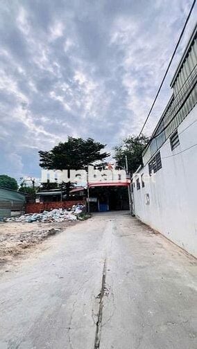 CHÍNH CHỦ CẦN BÁN NHÀ 3 TẦNG, 6X10M, SỔ HỒNG RIÊNG, CÓ THANG MÁY 450Kg
