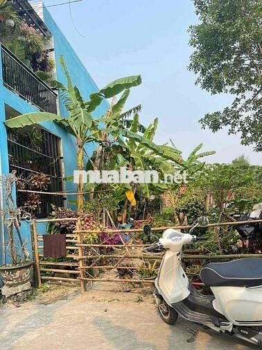 Bán đất kiệt thôn quan nam 1 Phường Liên Chiểu ( xã Hoà Liên cũ ).