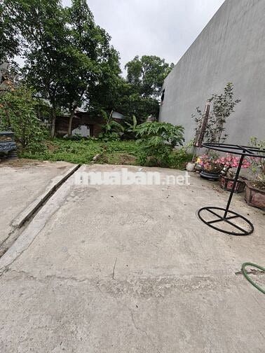Chính chủ bán đất Đông Xuân ( xã Sóc Sơn mới)