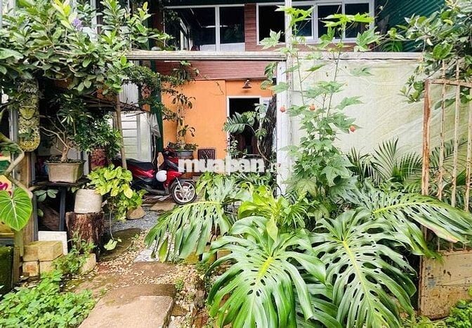 cho thuê nhà nguyên căn p5 đà lat full nội thất cơ bản