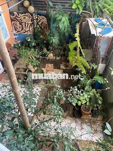 cho thuê nhà nguyên căn p5 đà lat full nội thất cơ bản