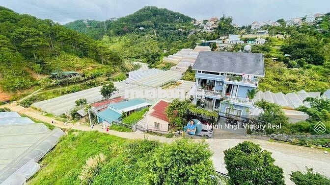 Chủ vã lắm rồi bán gấp KS view thông 4 mặt, thu nhập 150 triệu/tháng