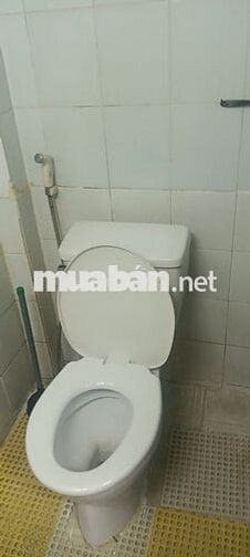 Nhà cho thuê đường Thiên Phước Quận Tân BÌnh