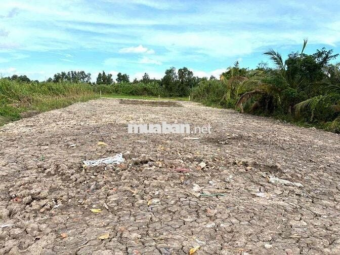 BÁN 1.370m đất CLN tại Phường Thanh Đức, Tỉnh Vĩnh Long