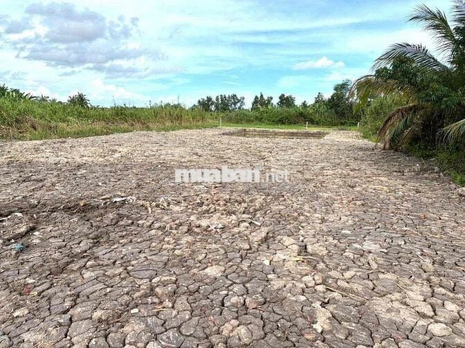 BÁN 1.370m đất CLN tại Phường Thanh Đức, Tỉnh Vĩnh Long