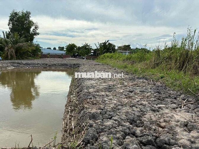 BÁN 1.370m đất CLN tại Phường Thanh Đức, Tỉnh Vĩnh Long