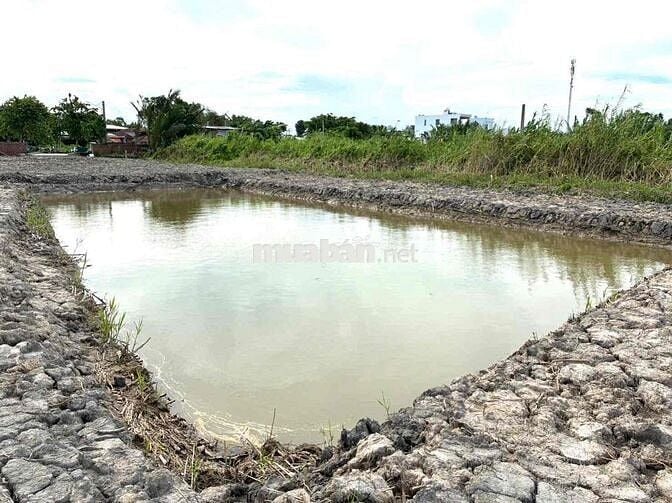 BÁN 1.370m đất CLN tại Phường Thanh Đức, Tỉnh Vĩnh Long