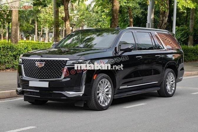 Cadillac Escalde Premium 600