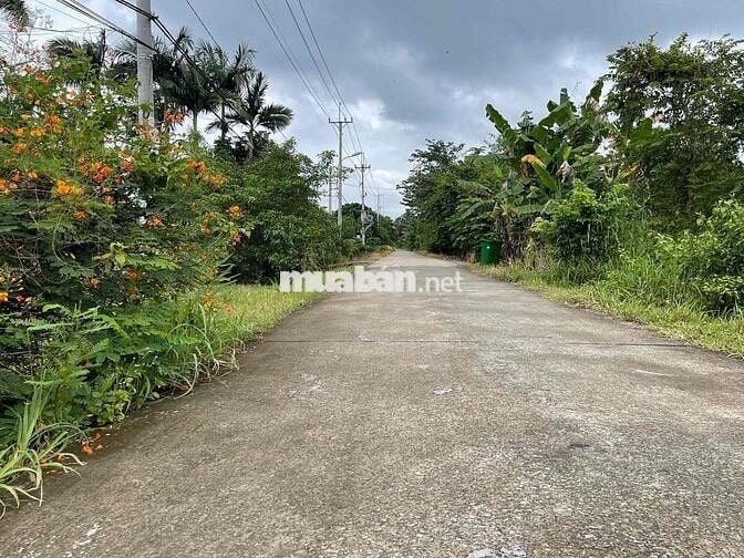 Bán Đất Thổ Cư Mặt Tiền Đường Lớn Giá Rẻ