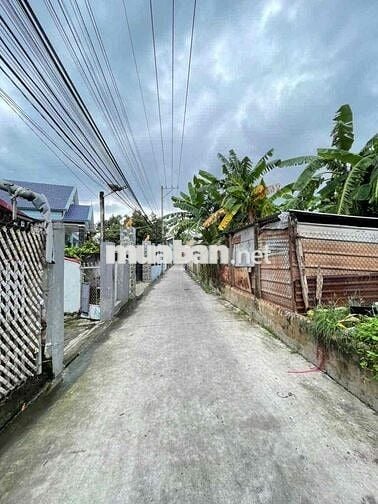 Đất gần chợ Tân Bình, sổ riêng, đường ô tô thông, xây tự do, 2822