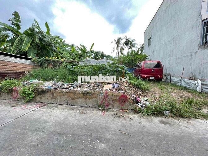 Đất gần chợ Tân Bình, sổ riêng, đường ô tô thông, xây tự do, 2822