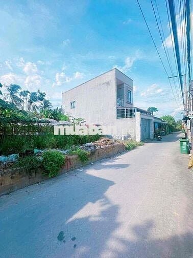 Đất gần chợ Tân Bình, sổ riêng, đường ô tô thông, xây tự do, 2822