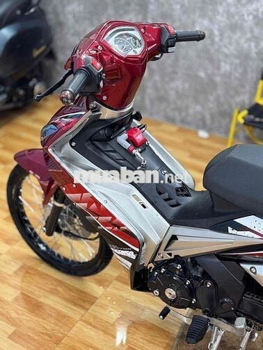 exciter zin kiểng