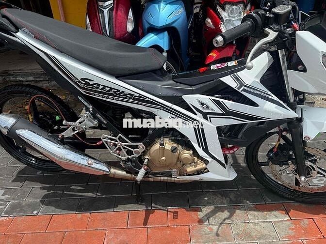 thanh lí satria đk 2023 kiểng đẹp