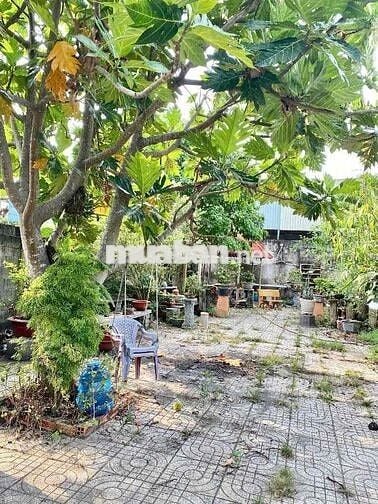 BIỆT THỰ SÂN VƯỜN CỦ CHI - SÁT QL22 - 420M² - NGANG 20M - NHỈNH 6TỶ