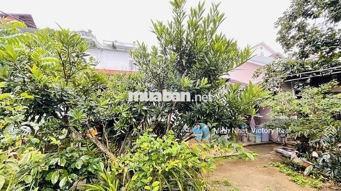 🔥 Bán đất mặt tiền đường An Bình 150m2 giá 7,5 tỷ, P.04, Đà Lạt 🔥