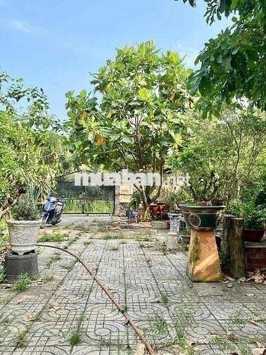 BIỆT THỰ SÂN VƯỜN CỦ CHI - SÁT QL22 - 420M² - NGANG 20M - NHỈNH 6TỶ