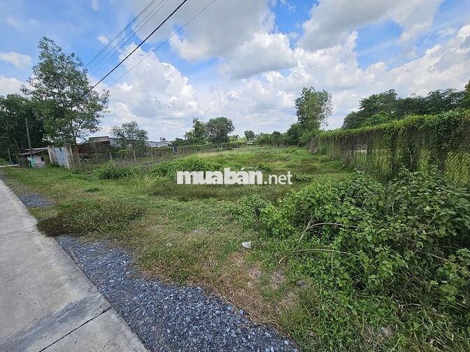 Hàng khủng 707m² (16x45) Phước Hiệp có 55m thổ. Bán ngộp 2,6 tỷ