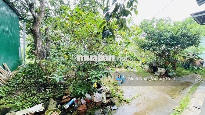 🔥 Bán đất mặt tiền đường An Bình 150m2 giá 7,5 tỷ, P.04, Đà Lạt 🔥