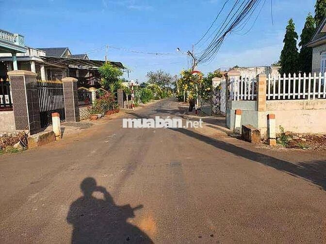Chủ ngộp bán đất 163m2 mặt tiền đường Bàu Tre, xã Tân An Hội, 520tr