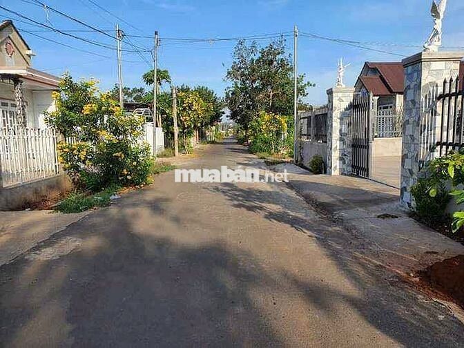 Chủ ngộp bán đất 163m2 mặt tiền đường Bàu Tre, xã Tân An Hội, 520tr