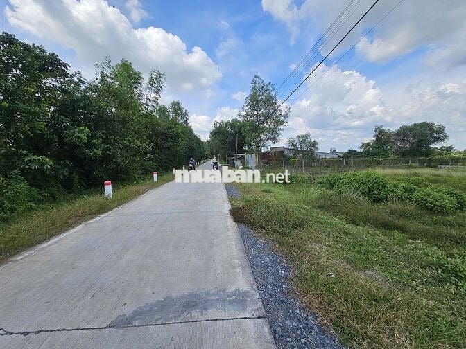 Hàng khủng 707m² (16x45) Phước Hiệp có 55m thổ. Bán ngộp 2,6 tỷ