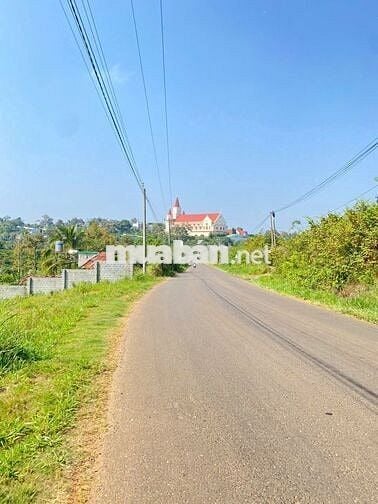 2000m2 mặt tiền 16m2 thôn 1 cách chợ cũ Lộc An 500m