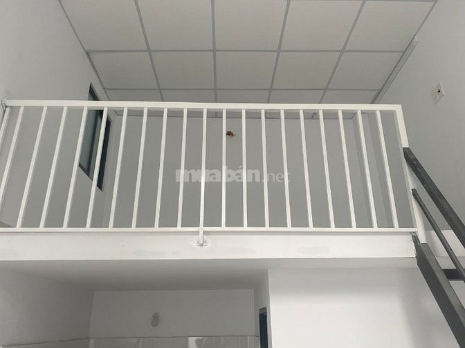 CHO THUÊ NHÀ Ở RIÊNG LẺ, MỚI 100