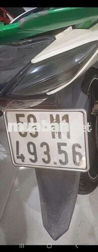 Ex 135cc bstp