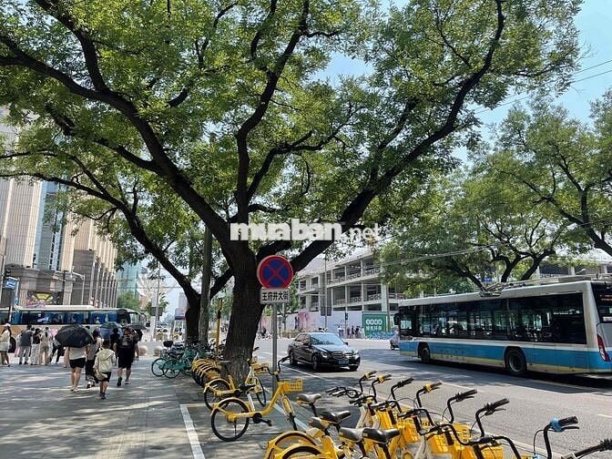 Mua Đầu Tư Nhà Phố - Q.3, 10, Phú Nhuận, Bình Thạnh