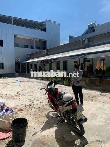 LÔ ĐẤT CỰC PHẨM – NGAY TRỤC NGUYỄN CHÁNH, LIÊN CHIỂU - CHỈ 2,6 TỶ