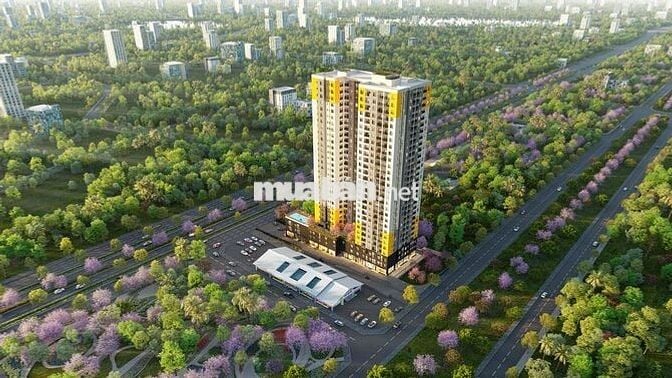 Bcons Asahi dự án mới giá rẻ theo phong cách Nhật Bản