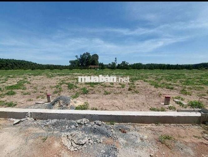 BÁN ĐẤT  NGAY CHỢ THÁI BÌNH- 290TR CÔNG CHỨNG SANG TÊN NGAY TRONG NGÀY
