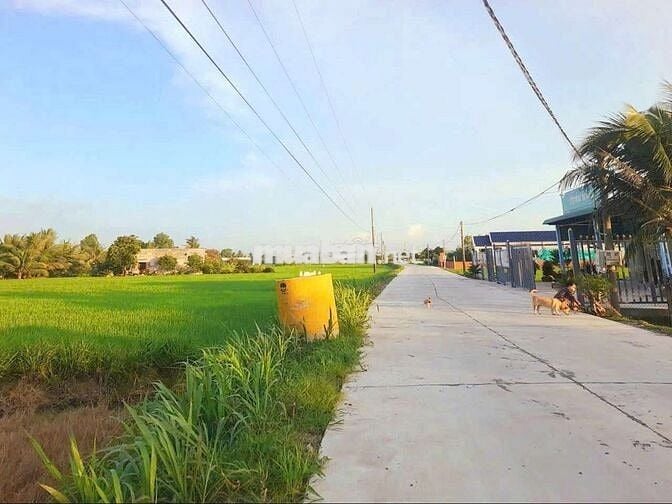 Hàng ngộp, 1080m2 đất thổ đường xe tải tránh nhau chỉ 1.65 tỷ