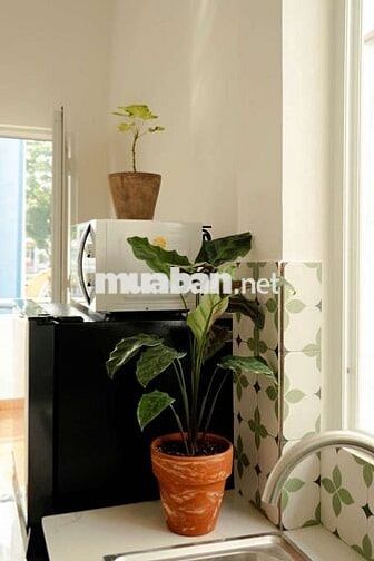 🛀🏻DUPLEX Bancol🏡Full NT, Vibe Siêu Thơ và Xanh🌃Điện Biên Phủ-BT📍